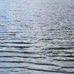 Salomé Lopes Coelho presenting at the II Coloquio Ecologías Críticas